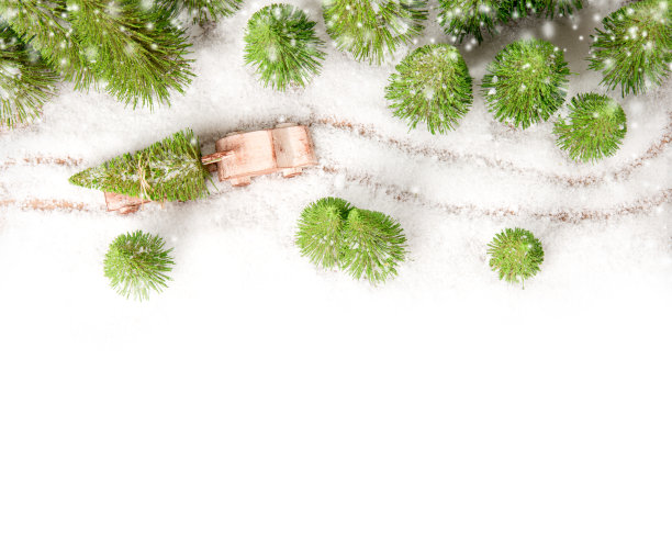 森林里一辆汽车上的圣诞树图片下载