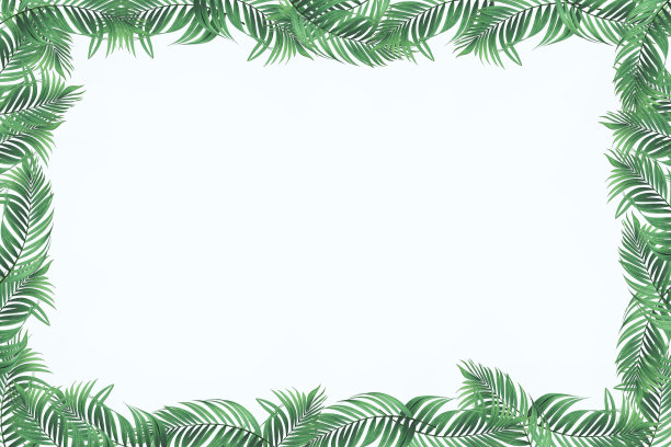 方形框架布局与深绿色的叶子和白色的背景。夏季自然概念的事件或卡片图片下载