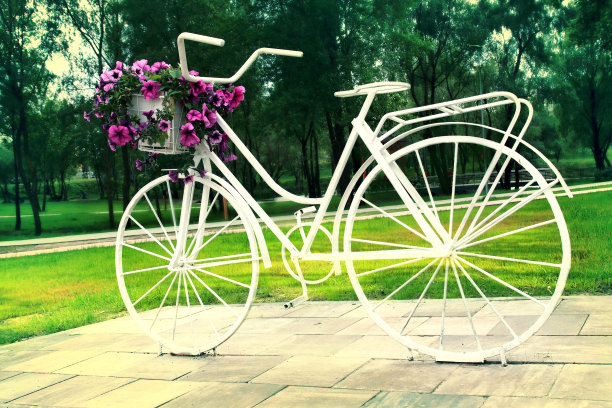 旧自行车和花篮花盆里的花图片下载