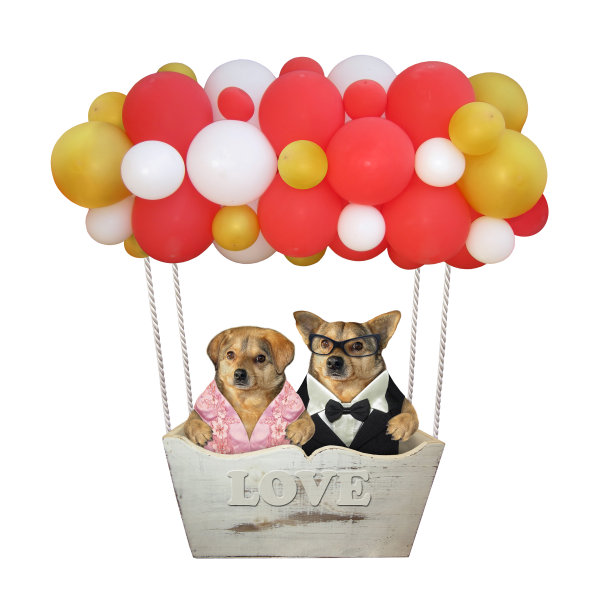 气球里的两只狗图片下载