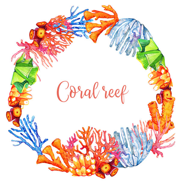 圆形框架设计模板与不同的珊瑚。手绘水彩插图图片下载