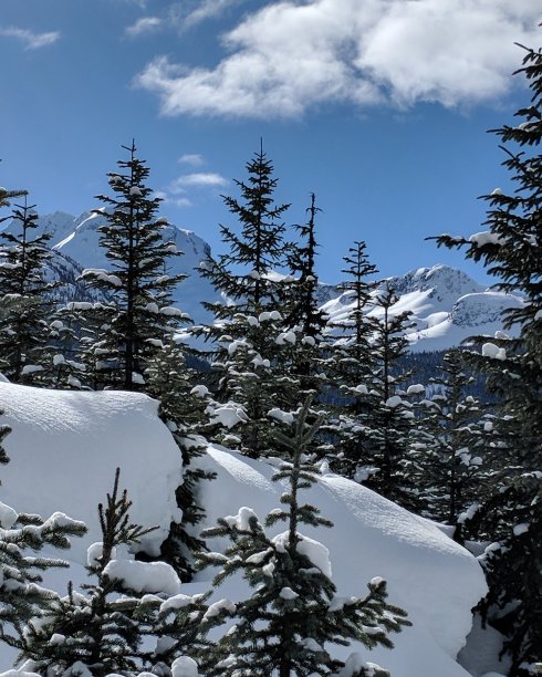 冬季仙境图片下载