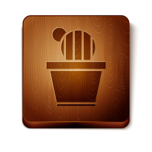 棕色仙人掌和多汁的盆图标孤立在白色背景。盆栽植物。盆栽植物标志。木制方形按钮。矢量图图片下载