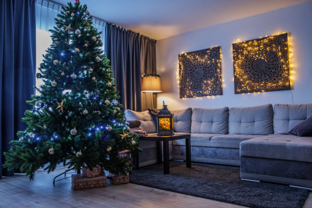 圣诞装饰在圣诞家图片下载