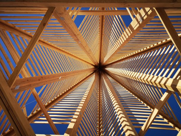 木头和天空图片下载