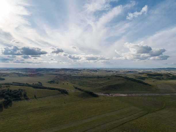 高的草地图片下载