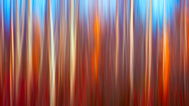 网页横幅秋天纹理风景背景与运动模糊;复古风格的色调图片下载