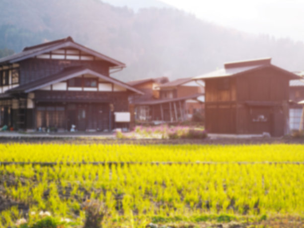 日本白川吾村的稻田。图片下载