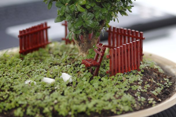 爱好园艺、花木造型图片下载