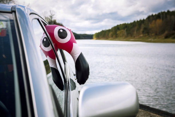 的乐趣,火烈鸟图片下载