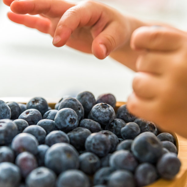 小男孩用手在室内摸取新鲜的蓝莓。婴儿探索水果图片下载