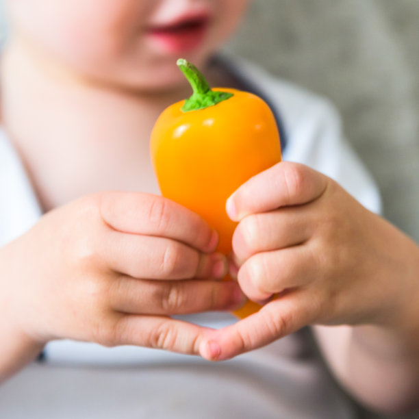 男婴手捧生鲜红黄辣椒室内。婴儿探索蔬菜图片下载