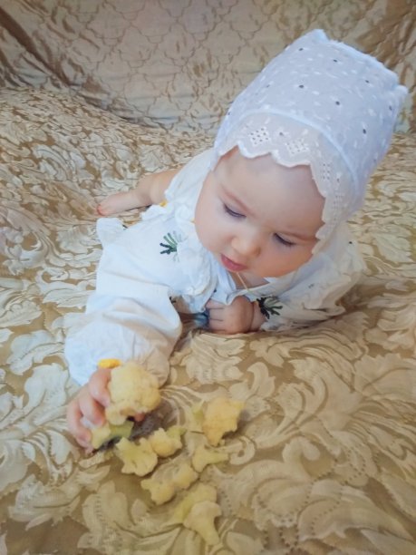 婴儿和花椰菜图片下载