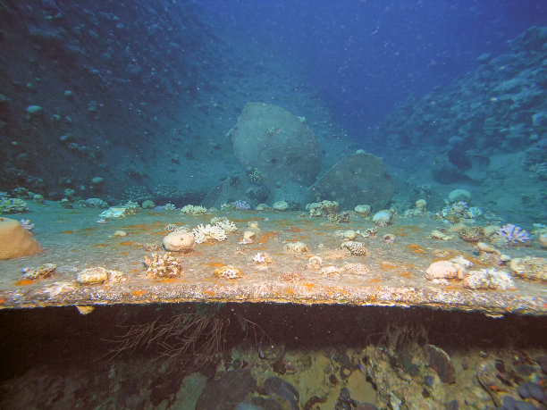 约旦亚喀巴的“雪松骄傲”号沉船图片下载