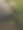 绿色的苔藓图片下载