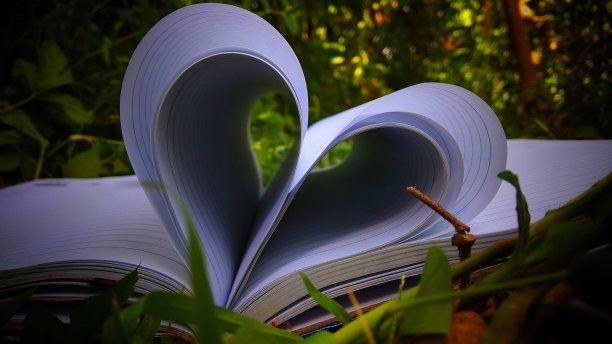 在花园里的书在真诚的形状图片下载