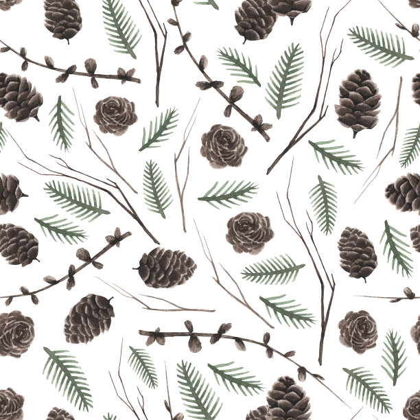 无缝的圣诞图案。水彩图案与圆锥形树枝和树叶设计，装饰，卡片，纺织品和印刷。素材图片