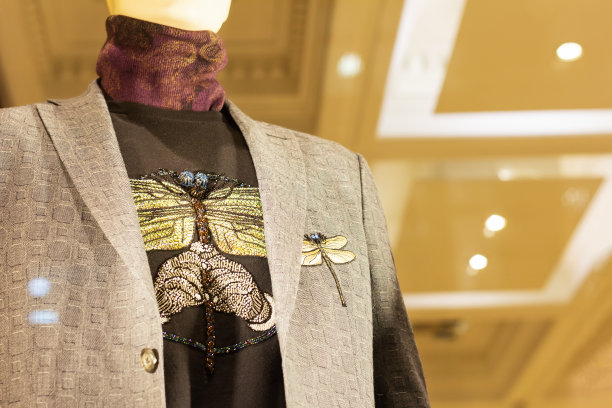 有蝴蝶图案的夹克。时尚风格。时尚奢华西服展示图片下载