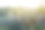 热带水果菠萝生长在花园与山区背景图片下载