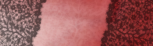 抽象背景与柔和的颜色和蕾丝细节。发光的背景，文字空间图片下载