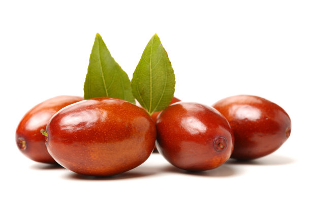 枣子或中国枣图片下载