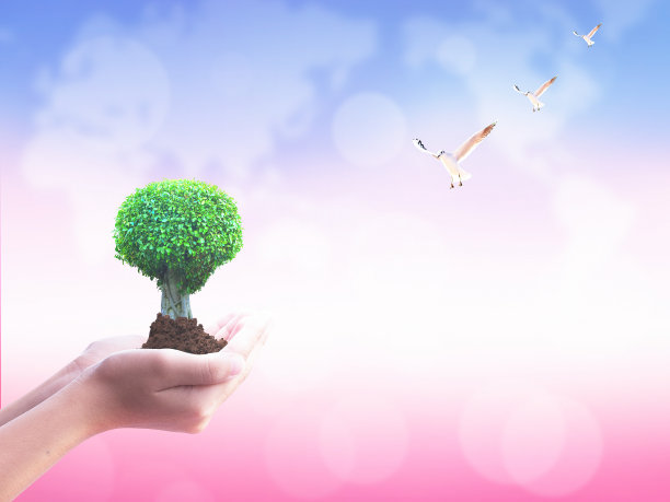 世界环境日的概念:在天空的背景下举起一棵大树图片下载