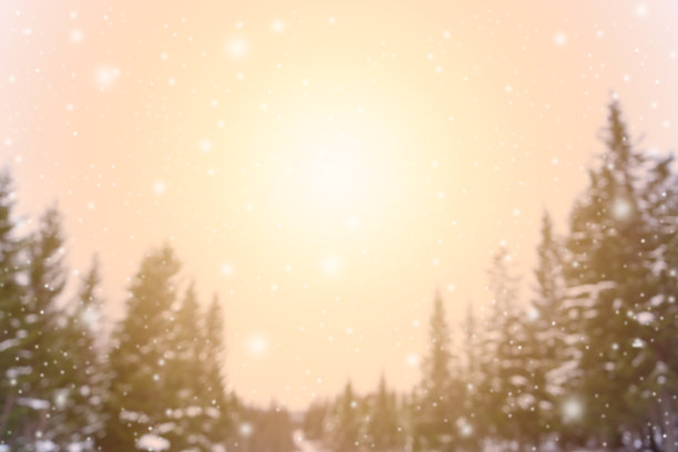 圣诞节的自然背景图片下载