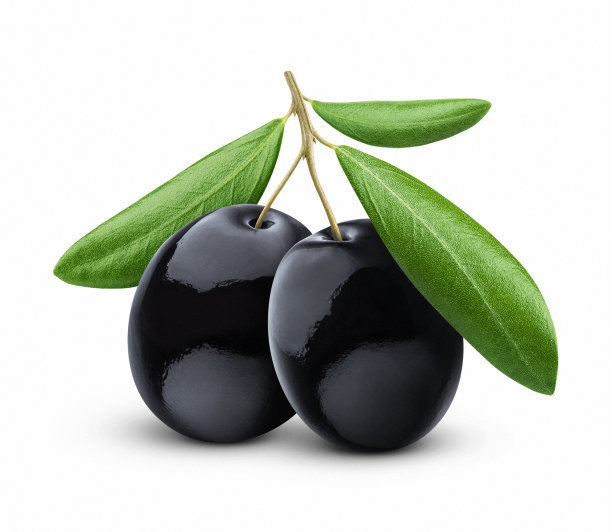 叶子孤立在白色背景上的黑橄榄图片下载