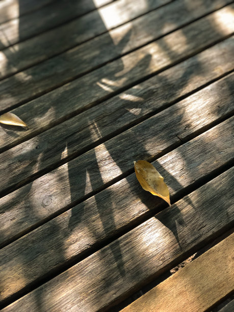 秋天木桌上的阴影图片下载