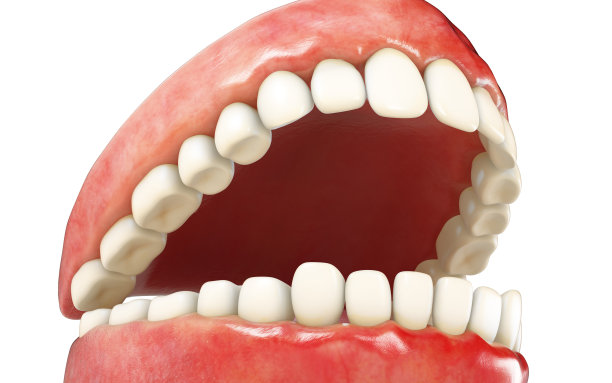 现实的人的牙齿图片下载