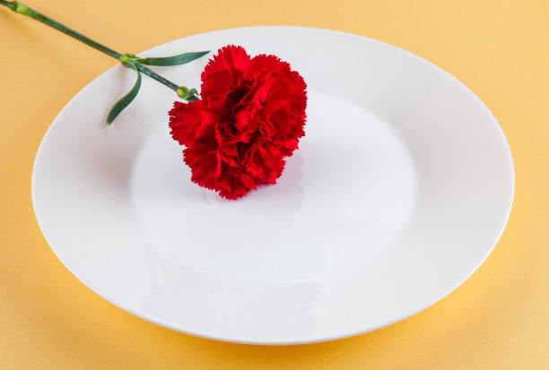 红色的康乃馨花。图片下载