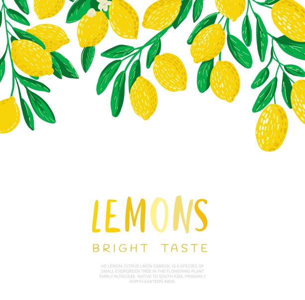 柠檬的抽象说明。图片下载