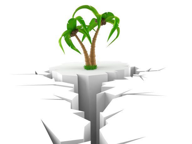 有裂缝洞的棕榈树图片下载