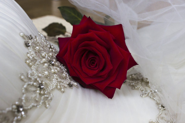 红玫瑰珠绣婚纱图片下载
