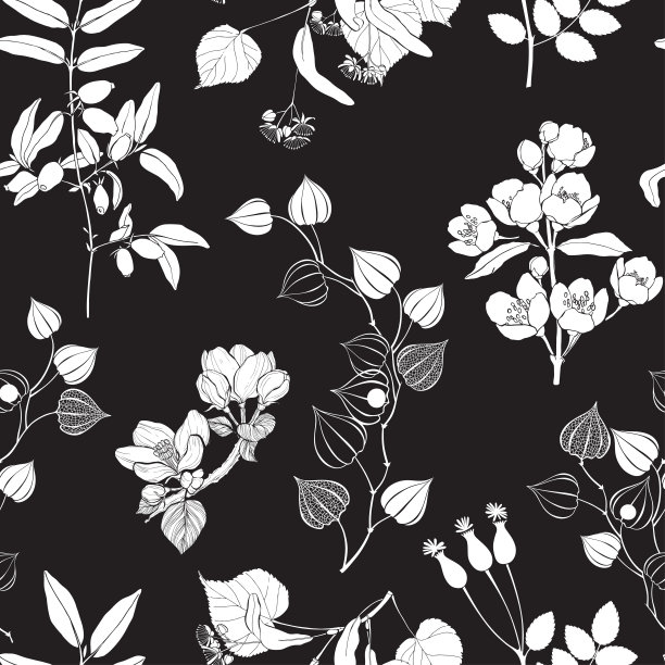 无缝的花卉图案上的黑色背景。单色背景。向量。图片下载