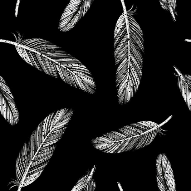 黑白无缝图案用墨水手绘羽毛图片下载