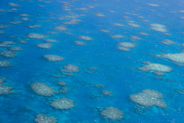 来自澳大利亚珊瑚礁的抽象纹理，大堡礁中的小岛图片下载