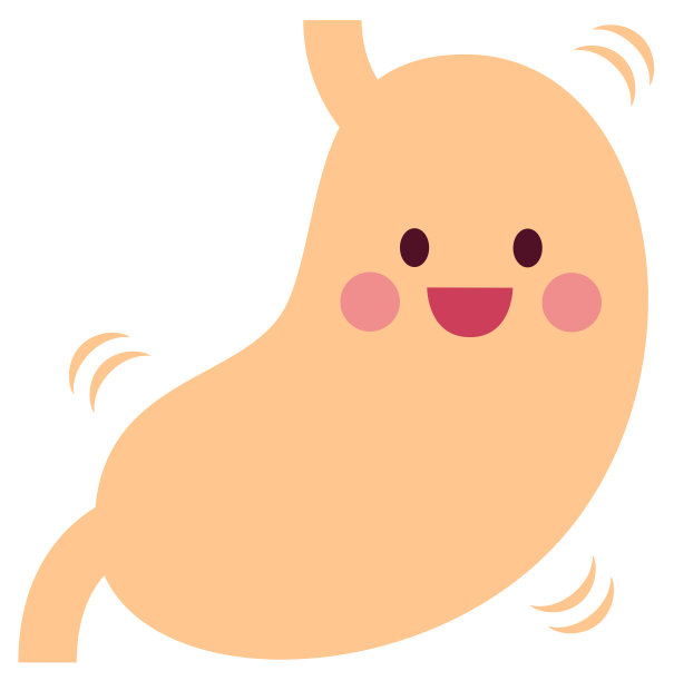 健康的胃图片下载