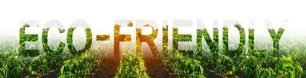 “生态友好”这个词的背景是一排排绿色的灌木、青椒和辣椒。环保产品。减少对生态系统的干预。阻止新农田下的森林破坏图片下载