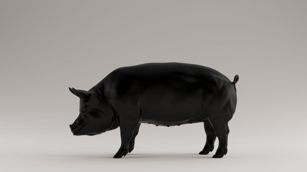 黑猪左图图片下载