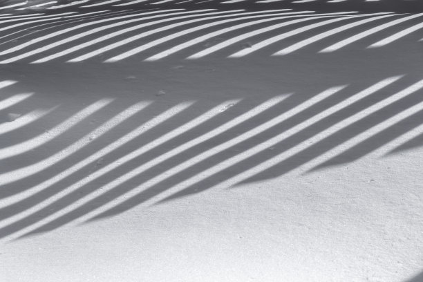 雪中的影子图片下载