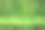 绿树灌木或篱笆或绿叶墙图片下载