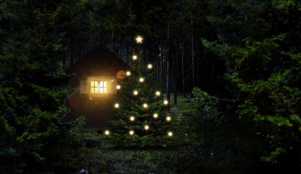 木屋里放着圣诞树图片下载