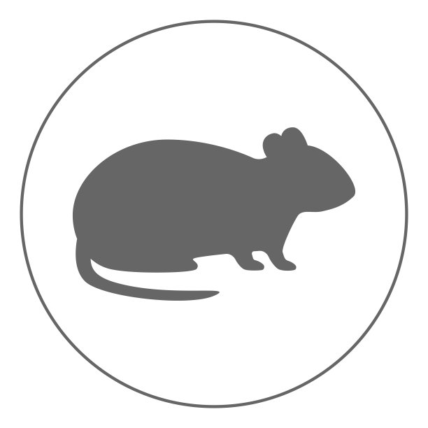 啮齿动物图标。老鼠符号。矢量图片下载