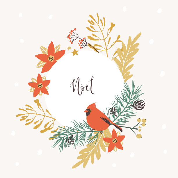 框架与圣诞装饰元素-植物，树枝，红鸟。传统符号，贺卡图片下载