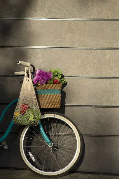 复古自行车与野花和生态购物袋在灰色的墙壁图片下载