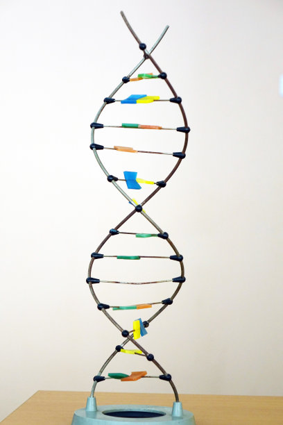 DNA分子。科学实验室。图片下载