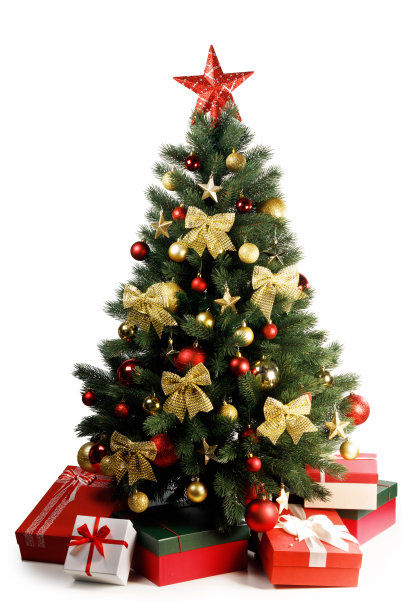 冬天的圣诞树图片下载