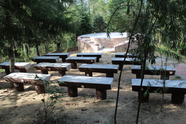 森林中美丽的公园图片下载