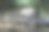 森林中美丽的公园图片下载